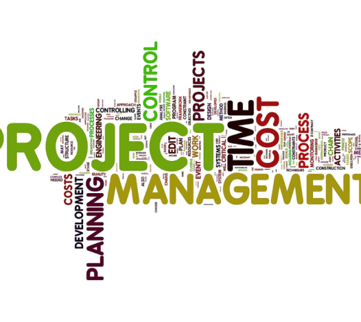 Cambridge Business College project management Fellowship